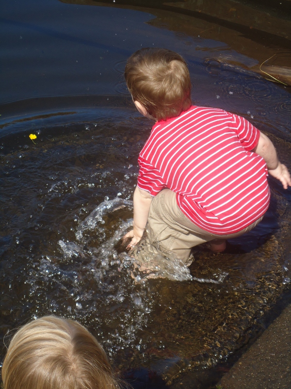 slideshow image